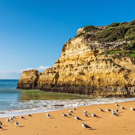 Sol E Mar Private Pool & Jacuzzi Villa *