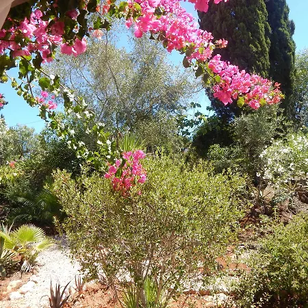 Sol E Mar Private Pool & Jacuzzi * פורטימאו