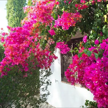 Villa Sol E Mar