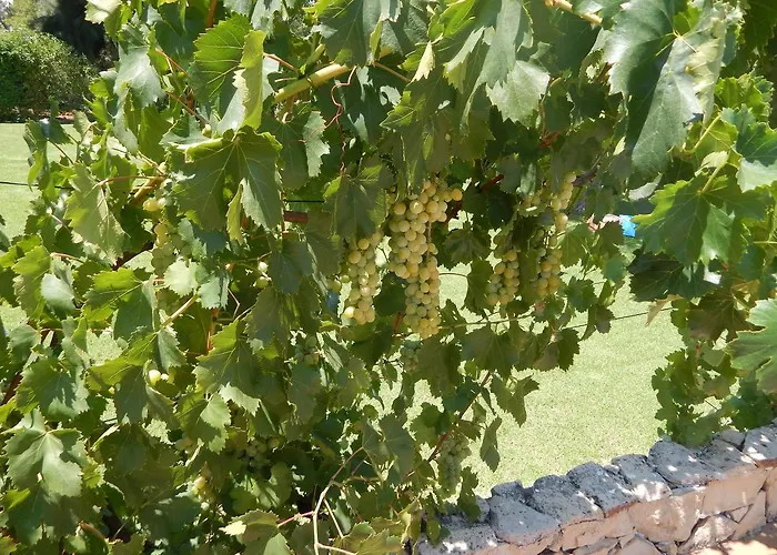 Sol E Mar Private Pool & Jacuzzi