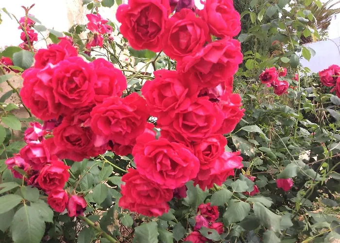 Sol E Mar Private Pool & Jacuzzi *