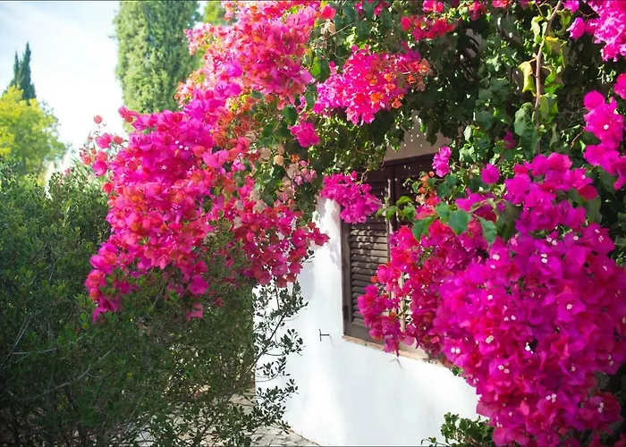 Villa Sol E Mar Private Pool & Jacuzzi