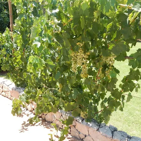 Sol E Mar Private Pool & Jacuzzi Willa